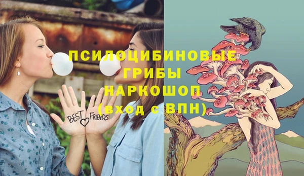 2c-b Заволжье