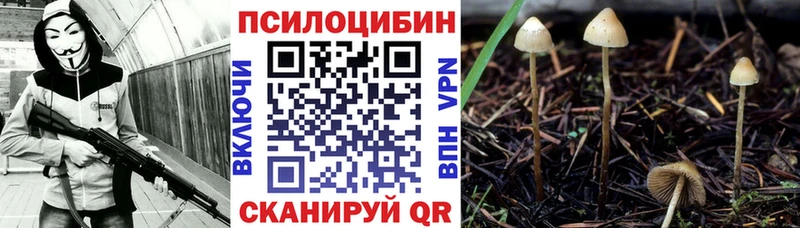 Купить где  Сим  Псилоцибиновые грибы MAGIC MUSHROOMS 